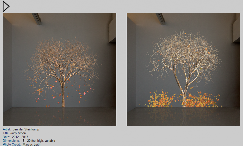 Jennifer Steinkamp Judy Cook