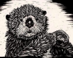 Birthday Otter