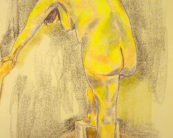 Figure in Color
