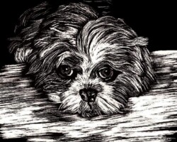 Smokey Scratchboard