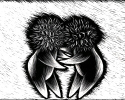 SeedHeads2