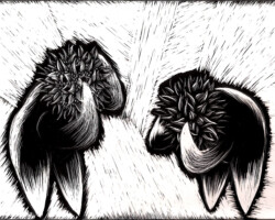 SeedHeads3