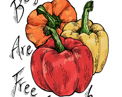 three bell peppers (red, yellow, and orange) with the words "Boycotts Are Free Speech"