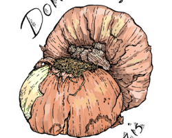 Two yellow onions with the words "Don't Cry for Neo Nazis" around them