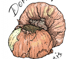 Two yellow onions with the words "Don't Cry for Neo Nazis" around them
